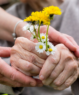 Soutien à domicile : bouquet de fleurs entre les mains