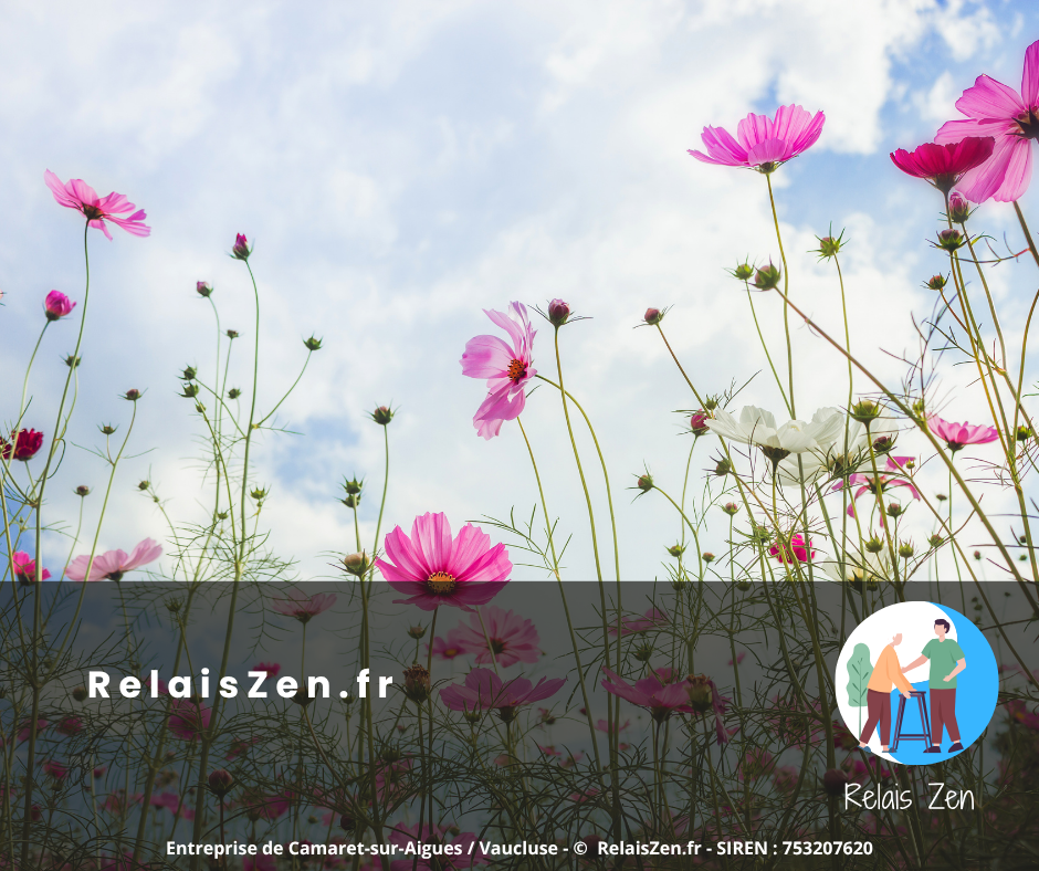 Bilan été 2026 Relais Zen — aide à domicile à Camaret-sur-Aigues